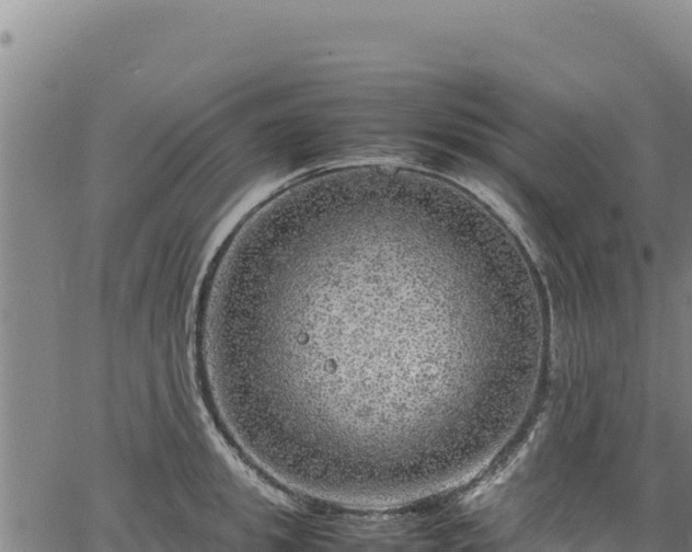 X0000064770949200602131313