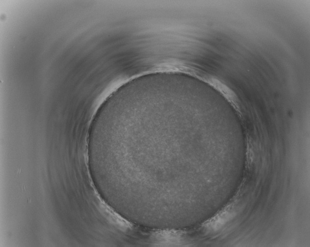 X0000064770950200602131313