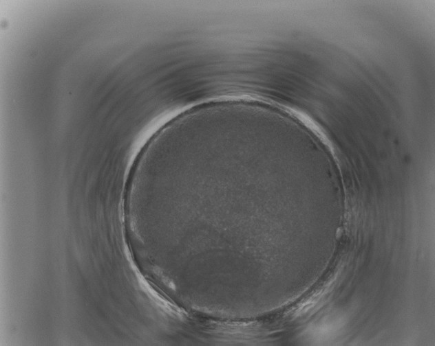 X0000064770951200602131313