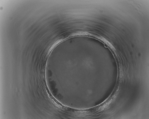 X0000064770953200602131313