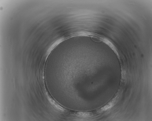 X0000064770954200602131313