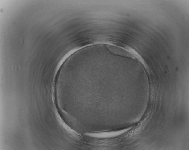 X0000064770955200602131313