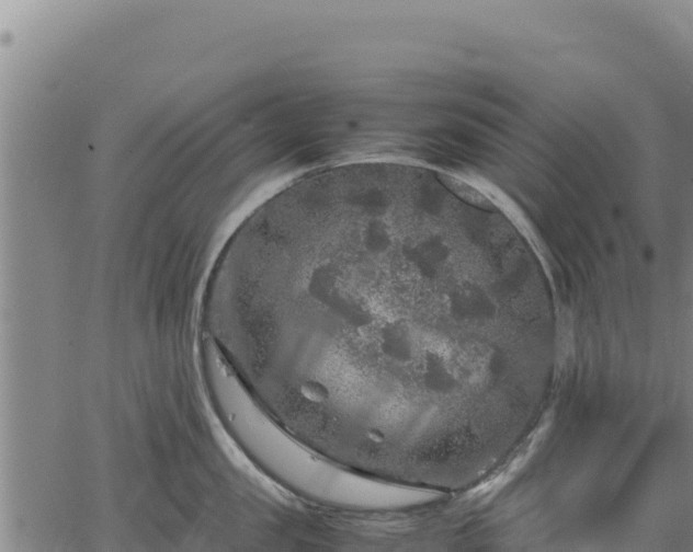 X0000064770957200602131313