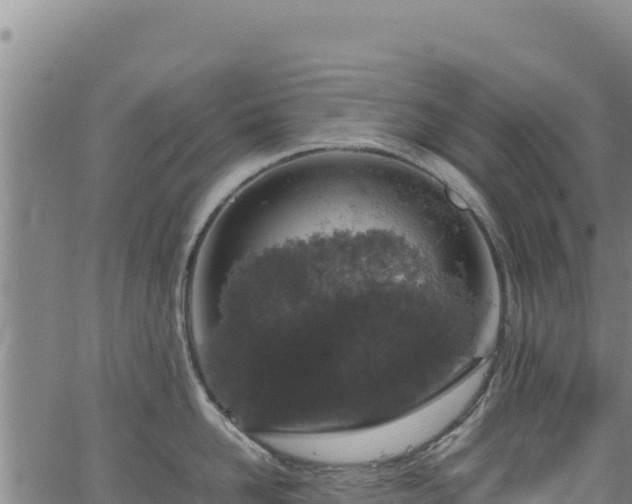 X0000064770958200602131313