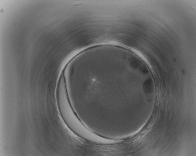 X0000064770959200602131313