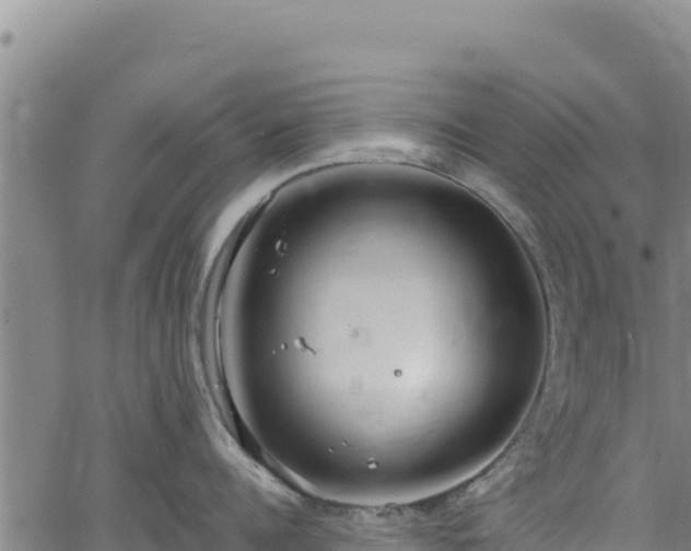 X0000064770960200602131313