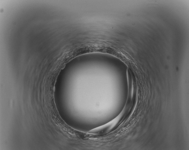 X0000064770961200602131312