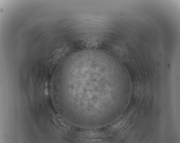 X0000064770962200602131312