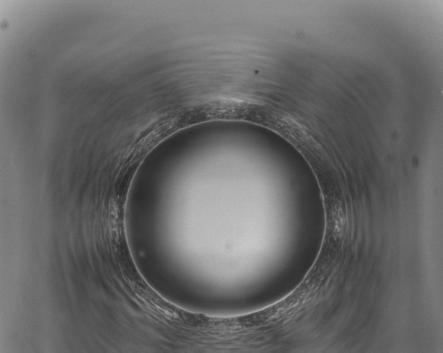 X0000064770964200602131312