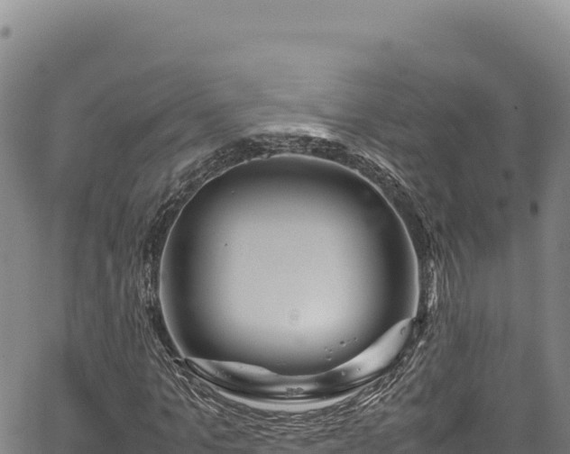 X0000064770965200602131312