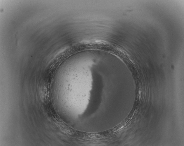 X0000064770966200602131312