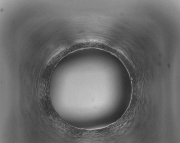 X0000064770967200602131312