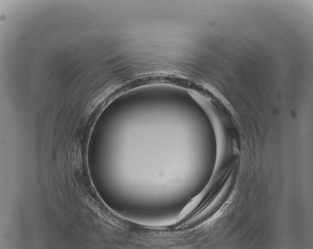 X0000064770969200602131312