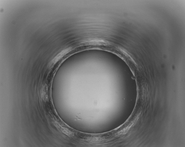 X0000064770970200602131312