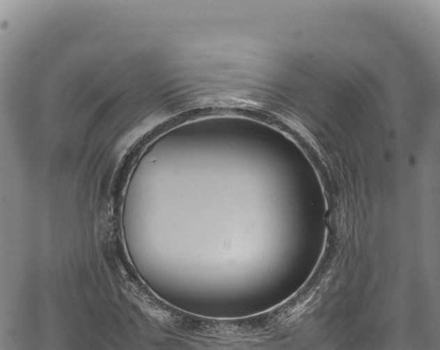 X0000064770971200602131312