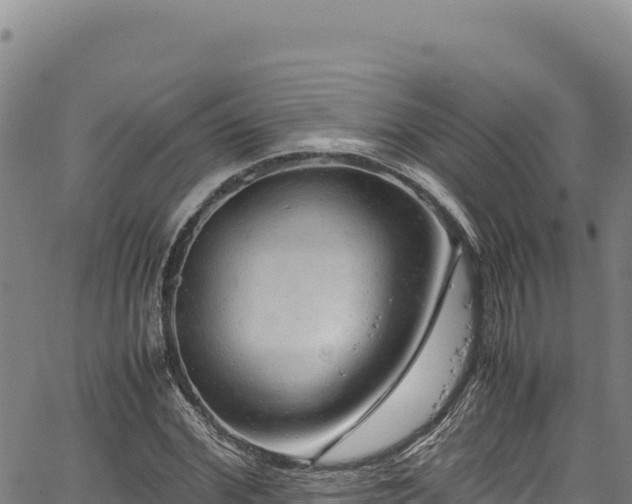 X0000064770972200602131312