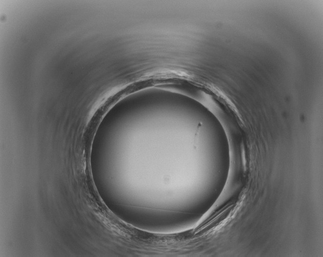 X0000064770973200602131312