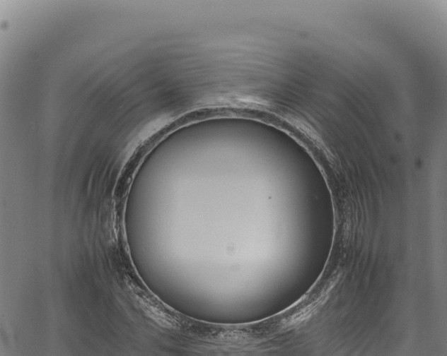 X0000064770974200602131312