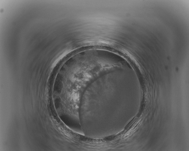 X0000064770975200602131312