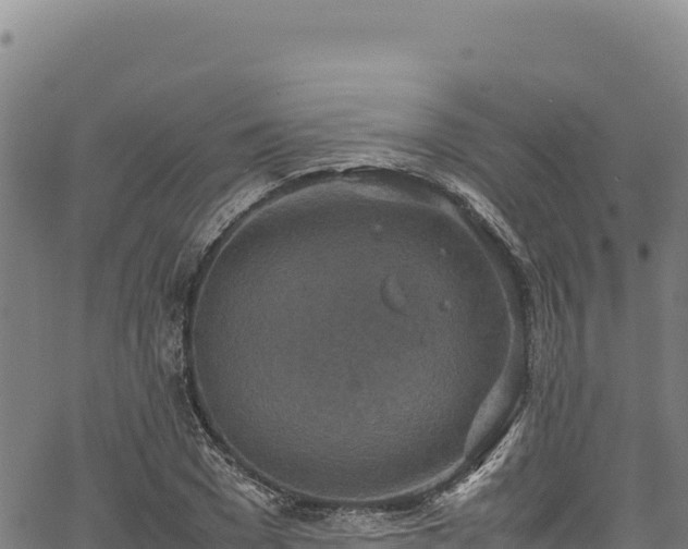 X0000064770977200602131312