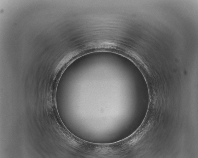 X0000064770978200602131312