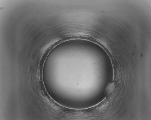 X0000064770979200602131312