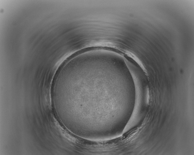 X0000064770980200602131312