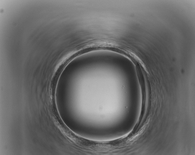 X0000064770981200602131312