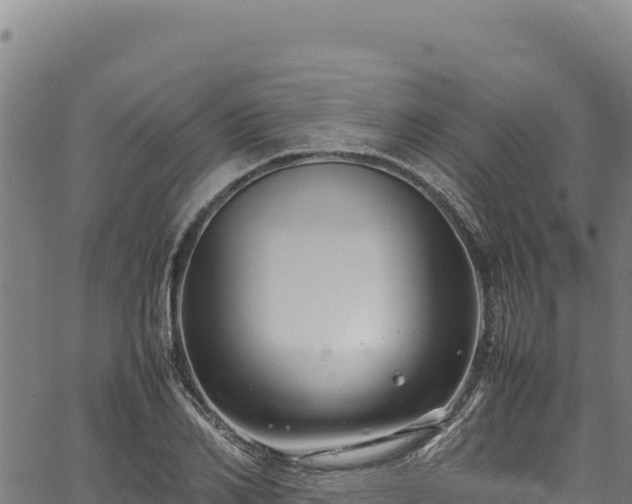 X0000064770982200602131312