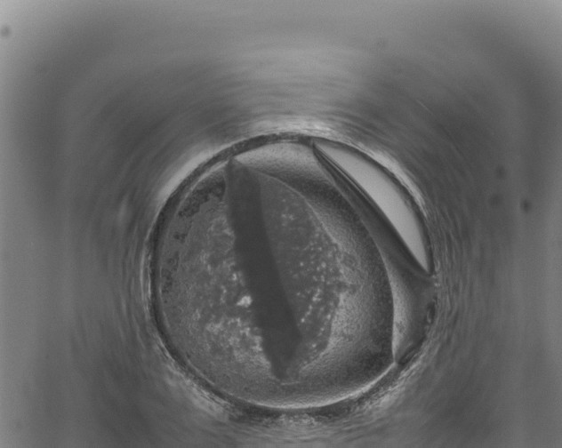 X0000064770983200602131312