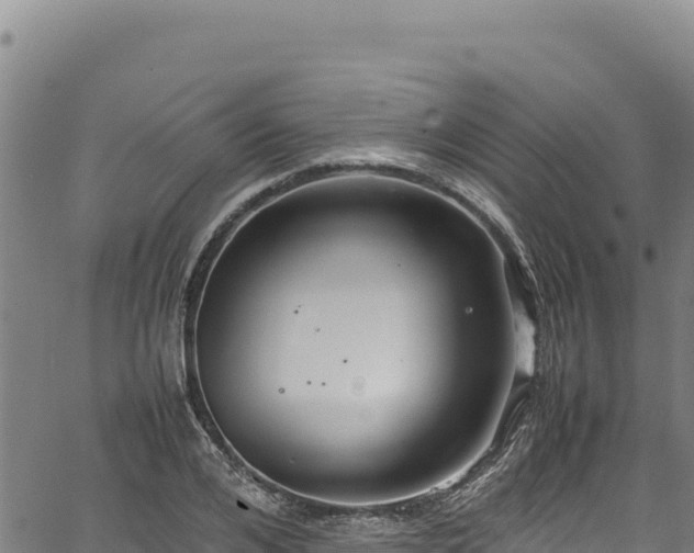 X0000064770984200602131312