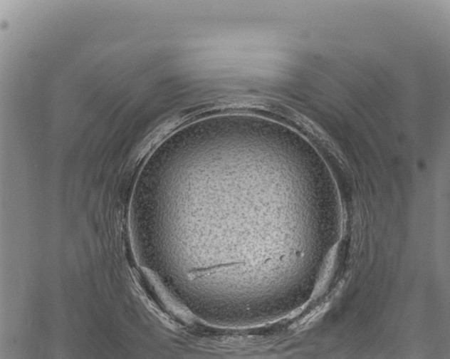 X0000064770985200602131312