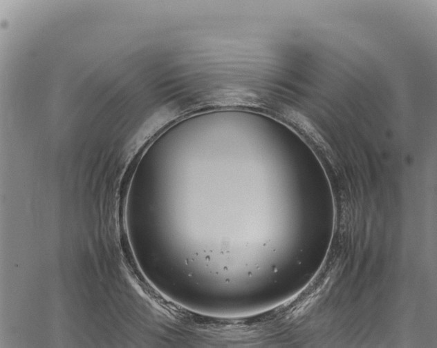 X0000064770986200602131312