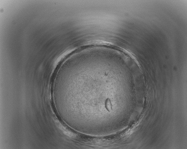 X0000064770987200602131312