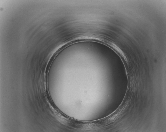 X0000064770988200602131312