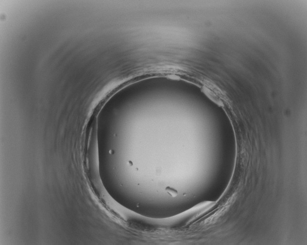 X0000064770989200602131312