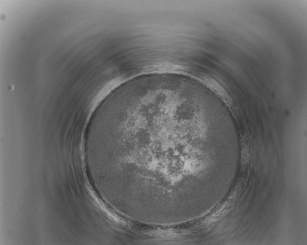 X0000064770990200602131312