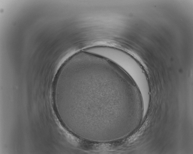 X0000064770991200602131312