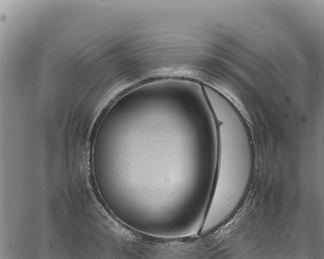 X0000064770992200602131312