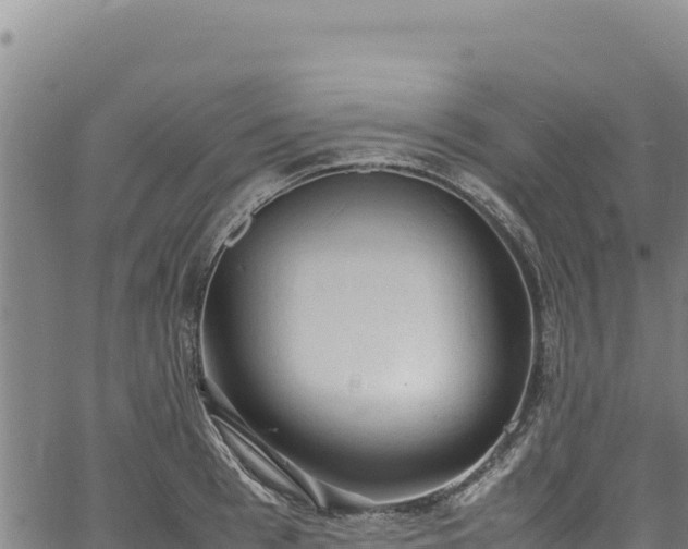 X0000064770993200602131312