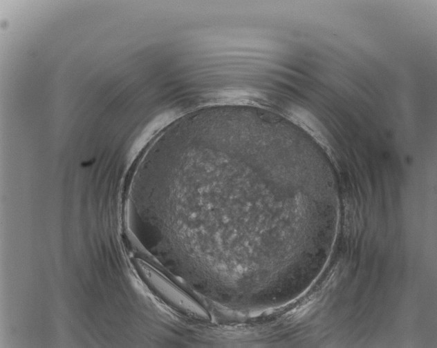 X0000064770994200602131312