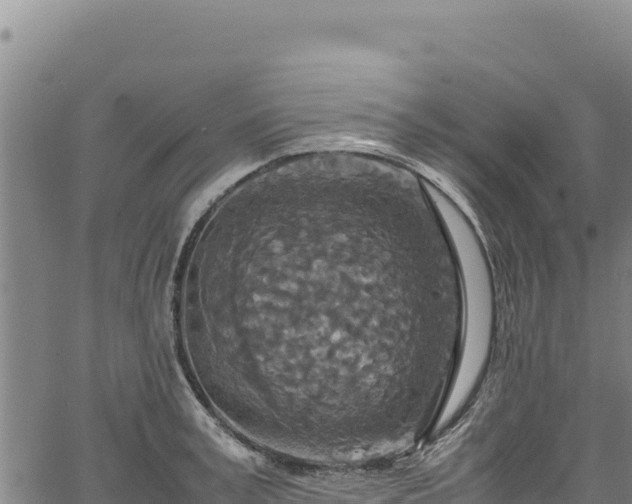 X0000064770995200602131312