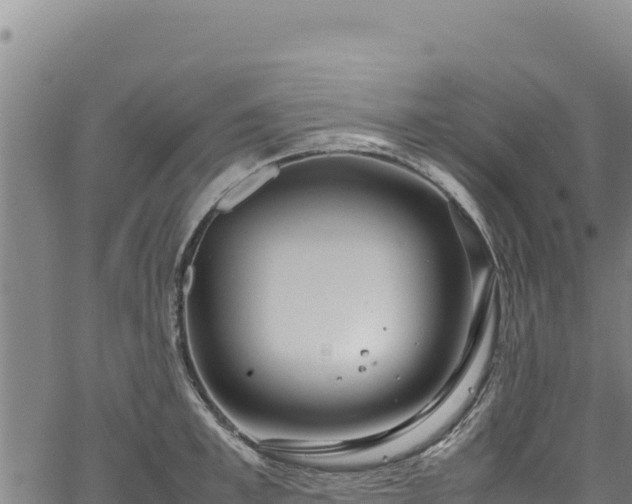 X0000064770997200602131312