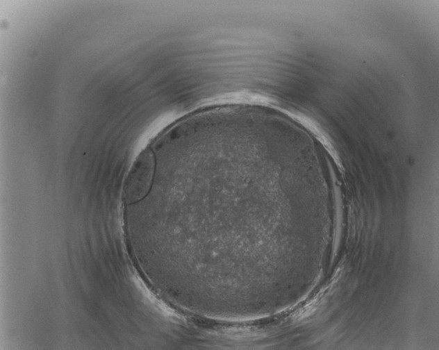 X0000064770998200602131312