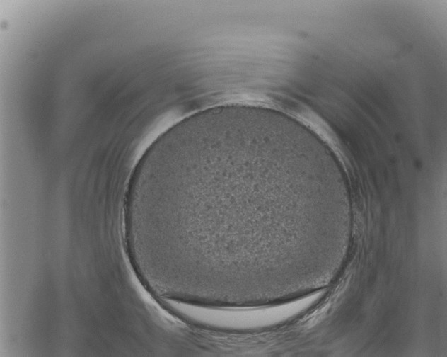 X0000064770999200602131312