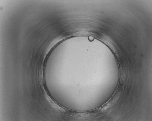 X0000064771000200602131312