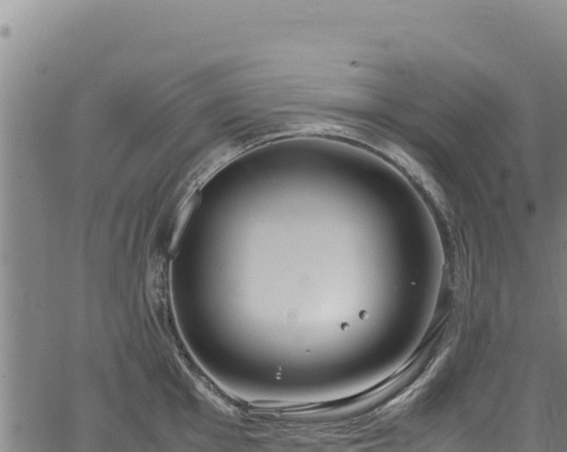 X0000064771001200602131312