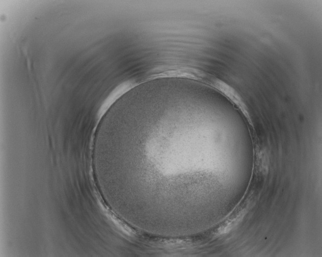 X0000064771002200602131312