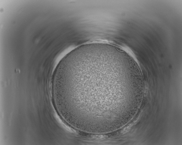 X0000064771003200602131312