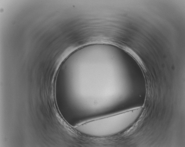 X0000064771004200602131312